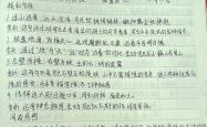 关于那不勒斯传射建功，泰山新星横空出世，场边球探频频记笔记的信息