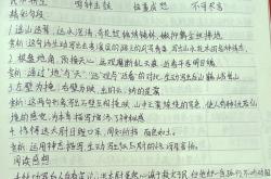 关于那不勒斯传射建功，泰山新星横空出世，场边球探频频记笔记的信息