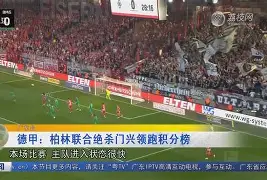 IM电竞-柏林联合比赛